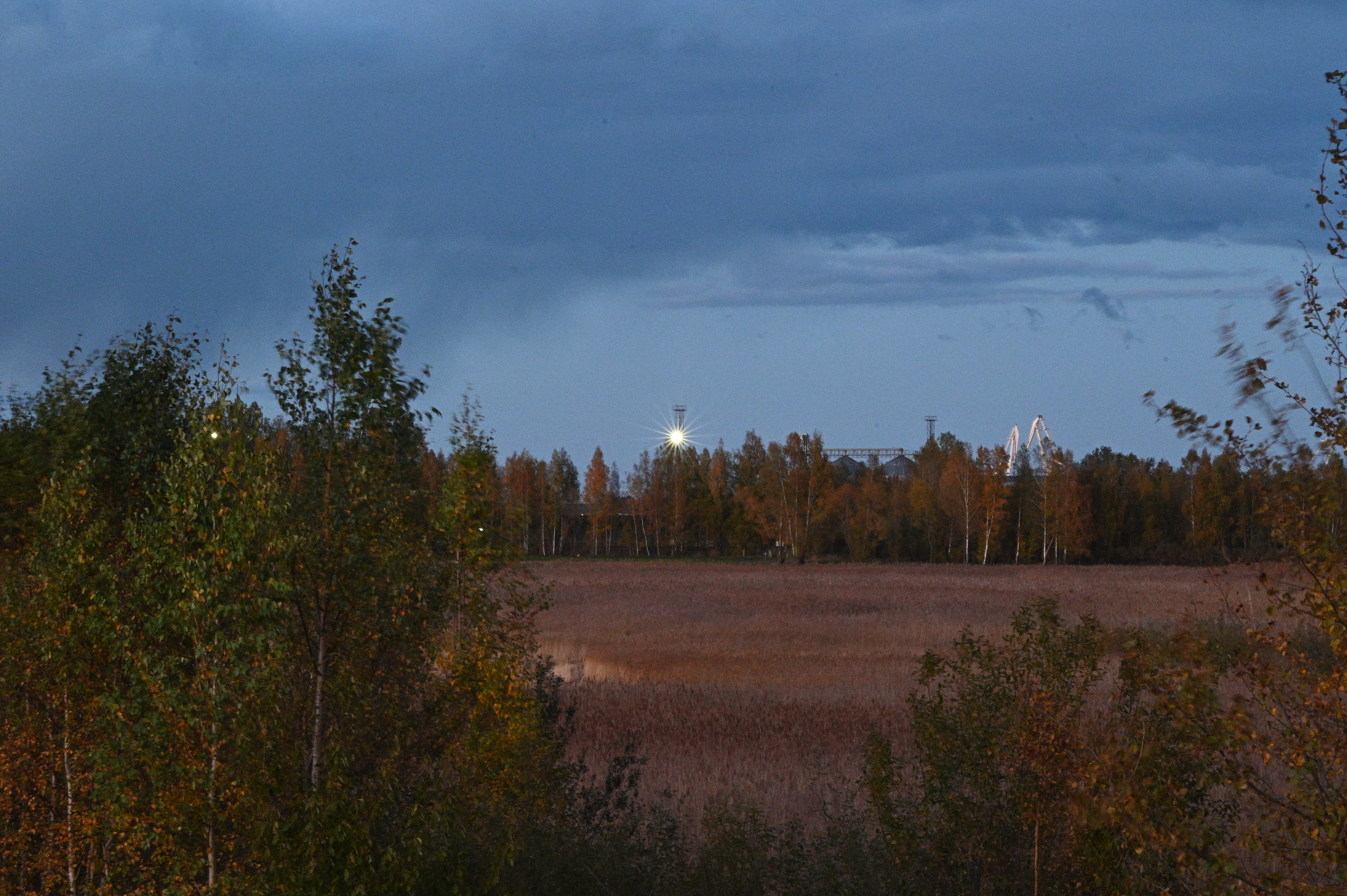 2025/10/18 - walk/DSC_0643.JPG